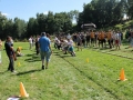 IMG_6815_zpsa5596685.jpg