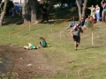 IMG_7003 (Large).JPG